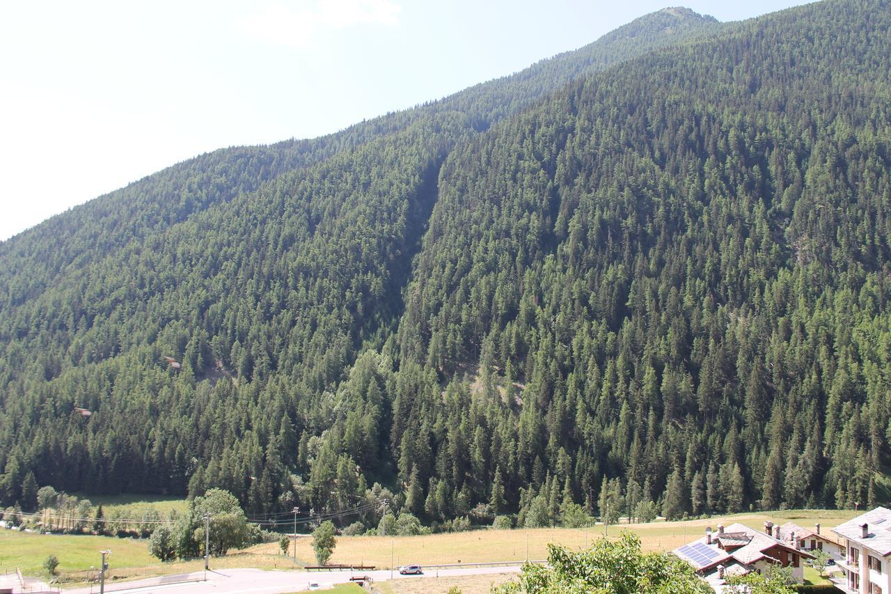 Mont Velan Chambres & Restaurant Saint-Oyen Dış mekan fotoğraf